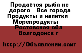 Продаётся рыба не дорого - Все города Продукты и напитки » Морепродукты   . Ростовская обл.,Волгодонск г.